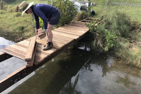 timber jetty repairs