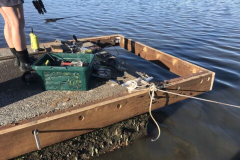 pontoon dock refurbishing