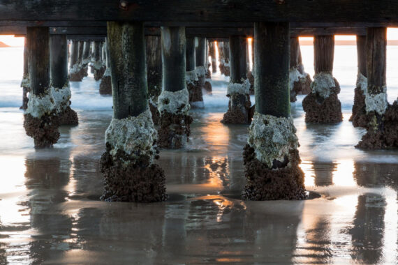 How to Remove Barnacles from a Pontoon Dock